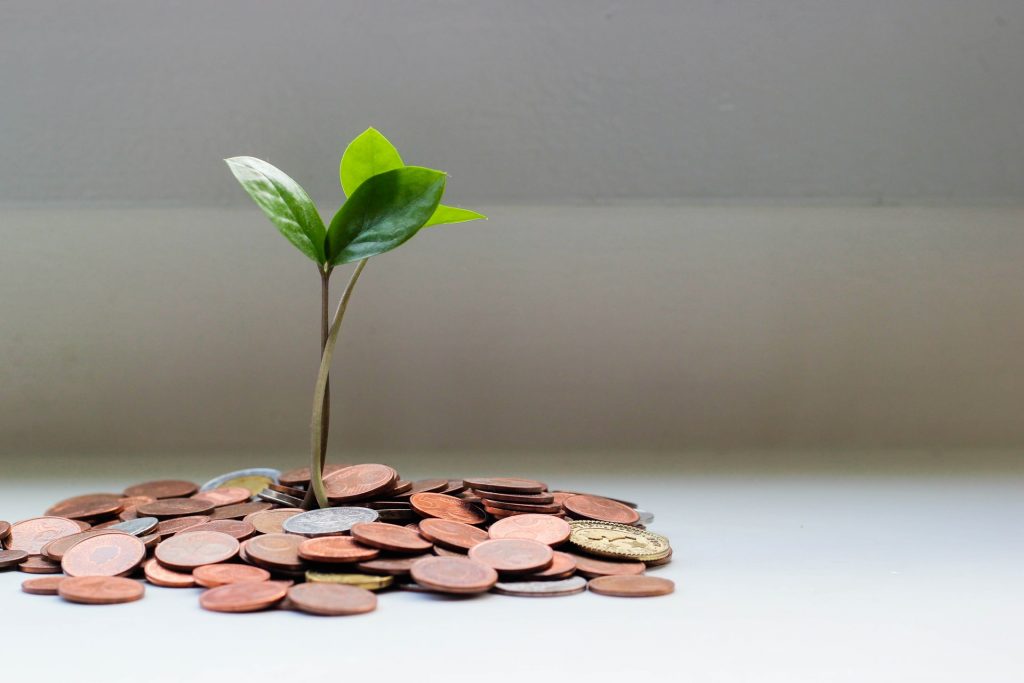 a sprout growing out of a pile of coins, illustrating the start of a vet fund