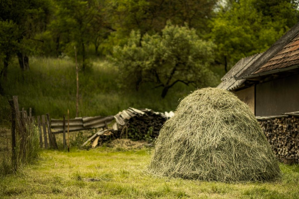 big pile of hay ready to be distributed